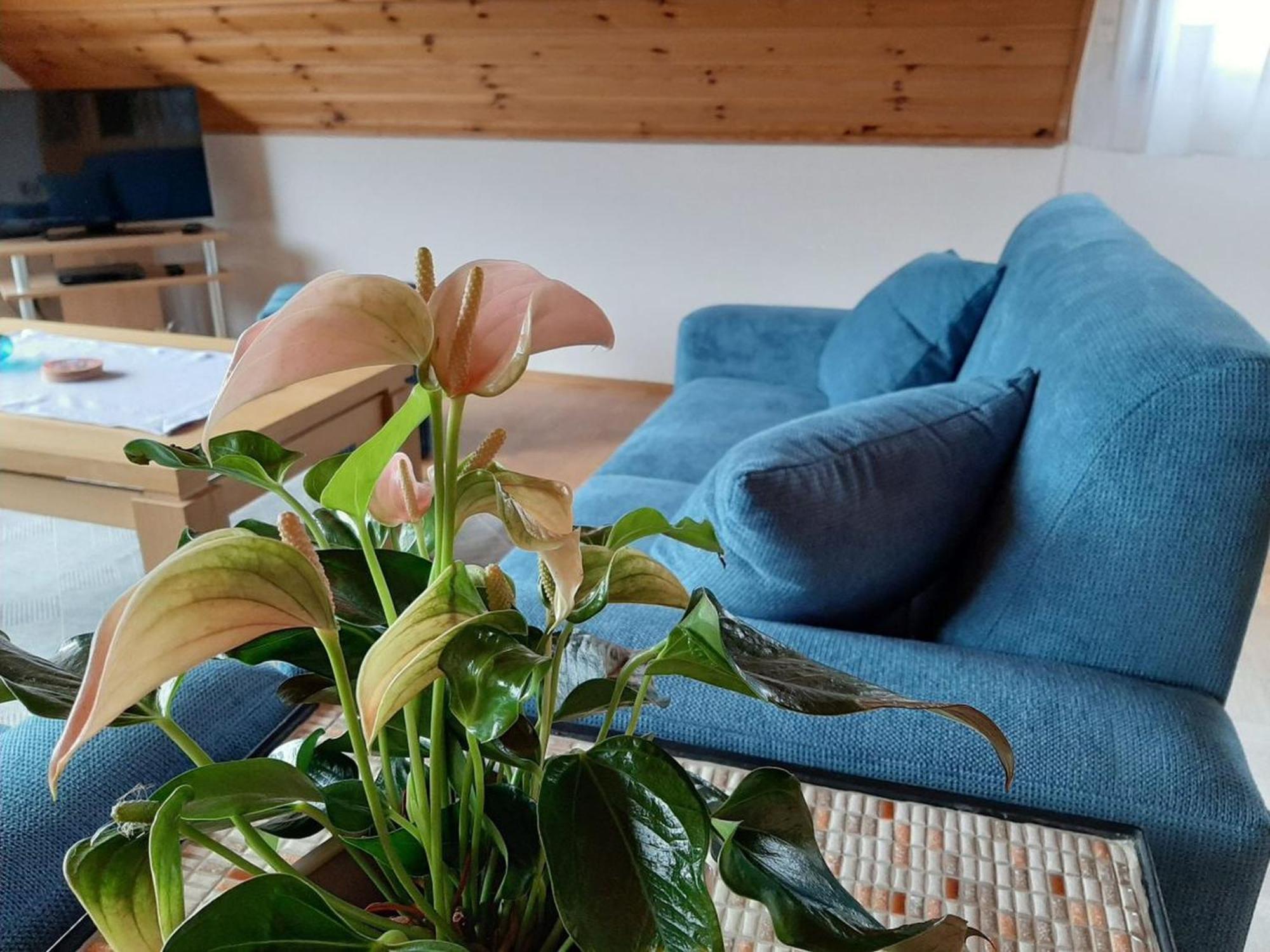 Ferienwohnung Am Patenberg Finnentrop Екстер'єр фото